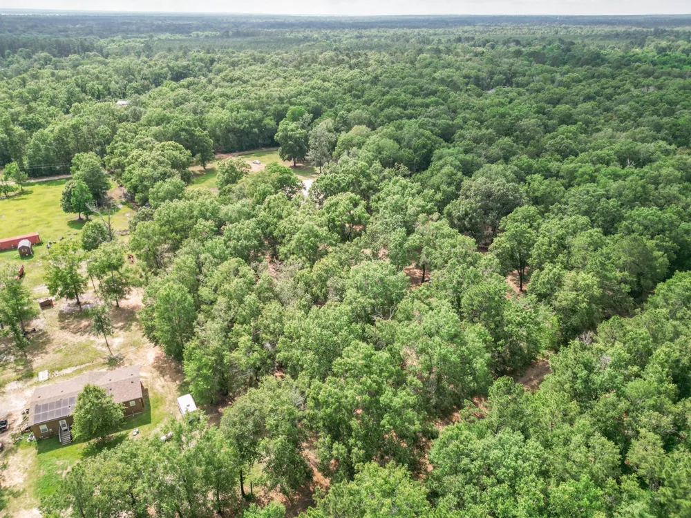 Wendy Way Livingston, TX 77351