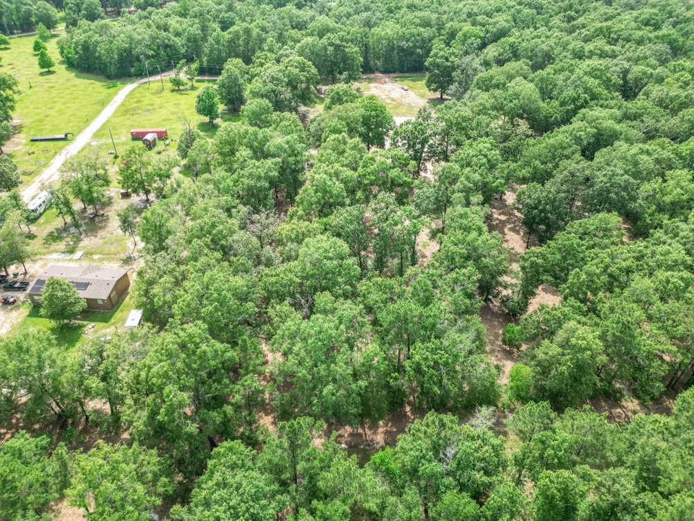 Wendy Way Livingston, TX 77351