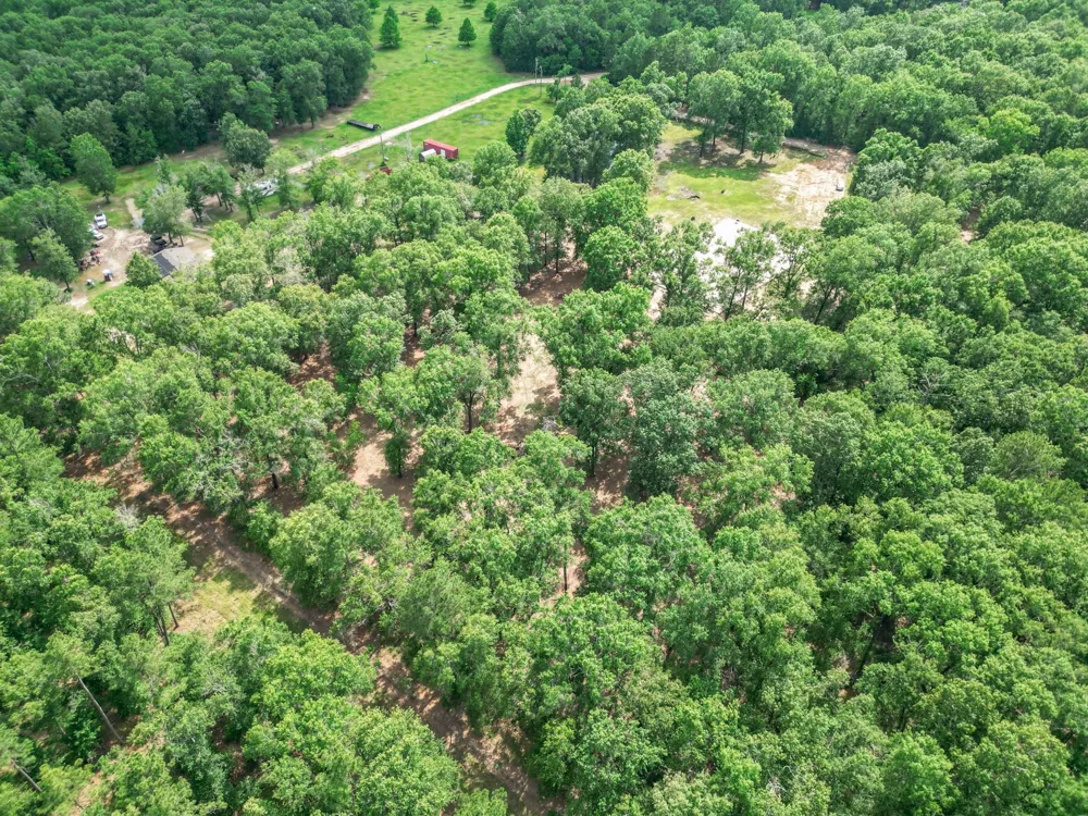 Wendy Way Livingston, TX 77351