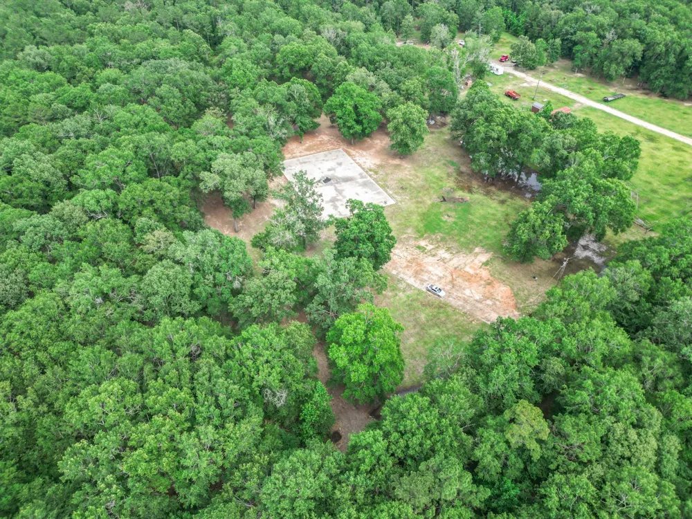 Wendy Way Livingston, TX 77351