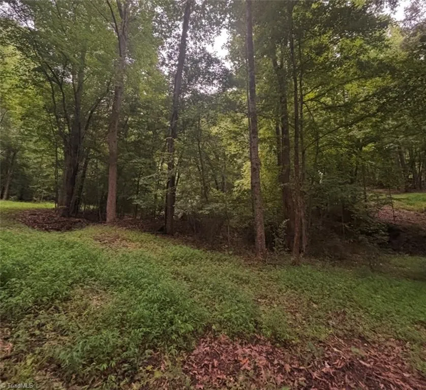 0 Myers Street Winston-Salem, NC 27127