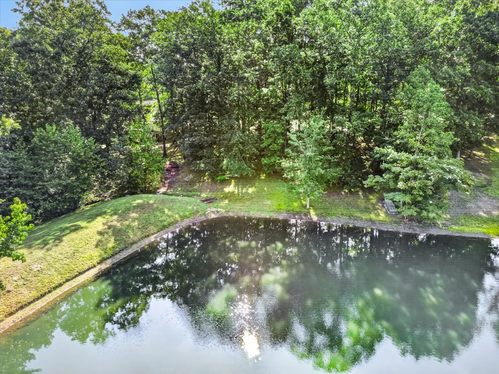 175 Castleton Cv Paris, TN 38242