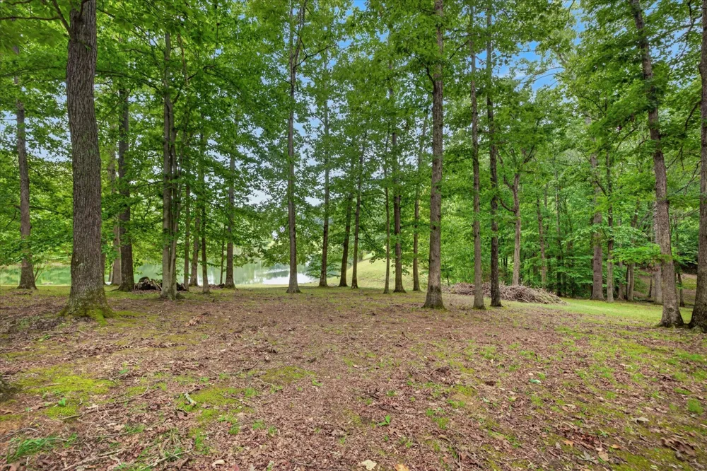 175 Castleton Cv Paris, TN 38242
