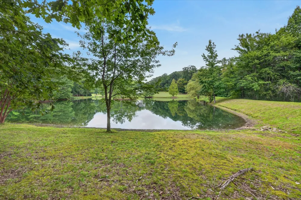 175 Castleton Cv Paris, TN 38242