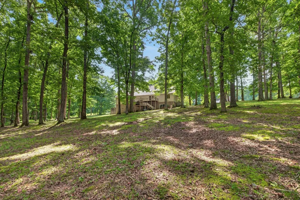 175 Castleton Cv Paris, TN 38242