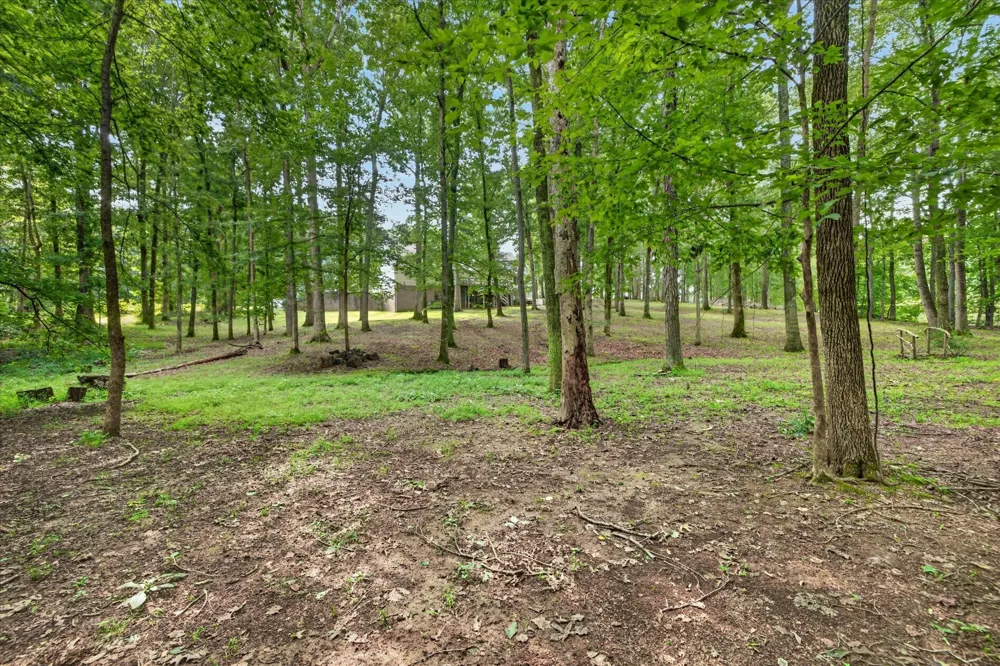 175 Castleton Cv Paris, TN 38242