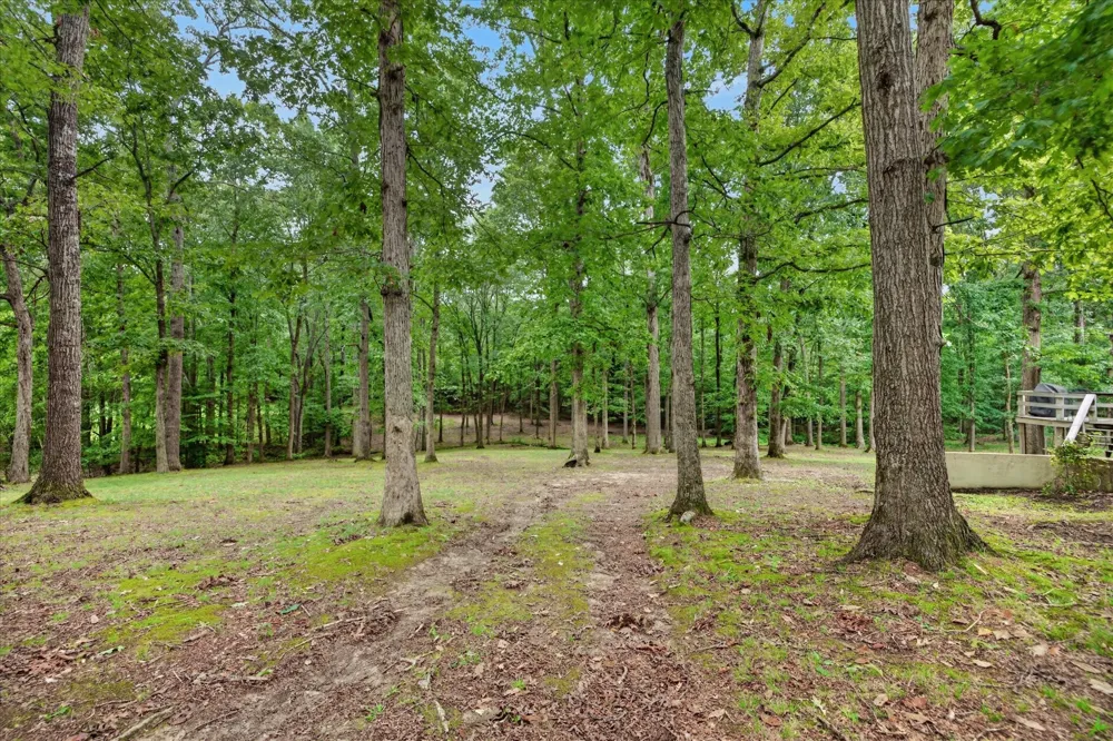 175 Castleton Cv Paris, TN 38242