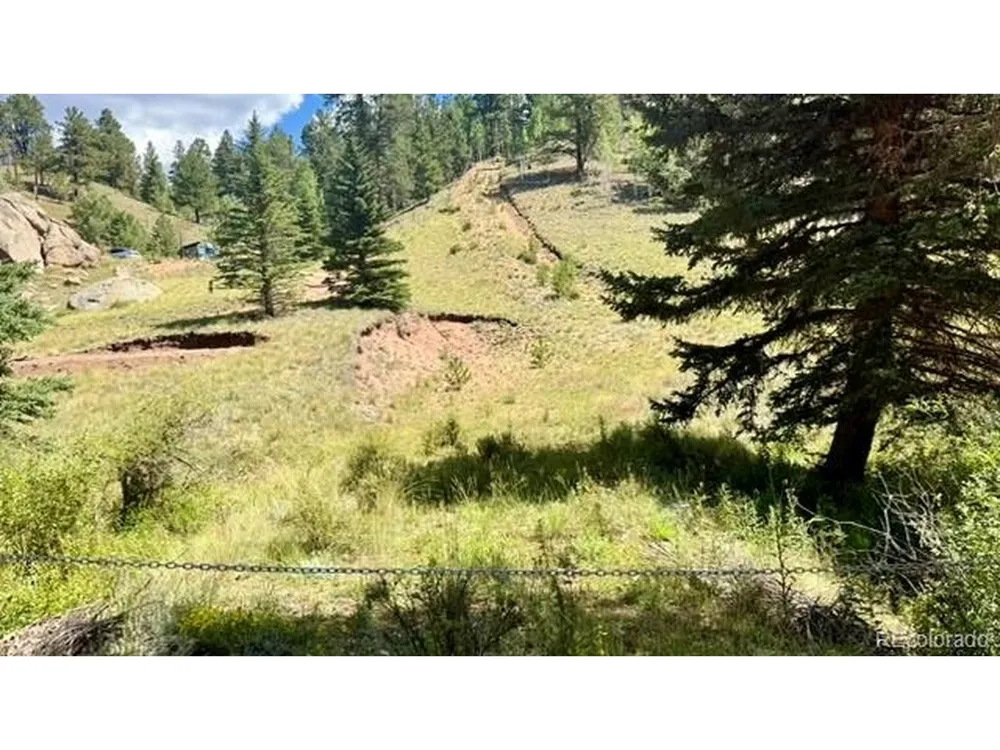 196 Beaver Creek Circle Florissant, CO 80816