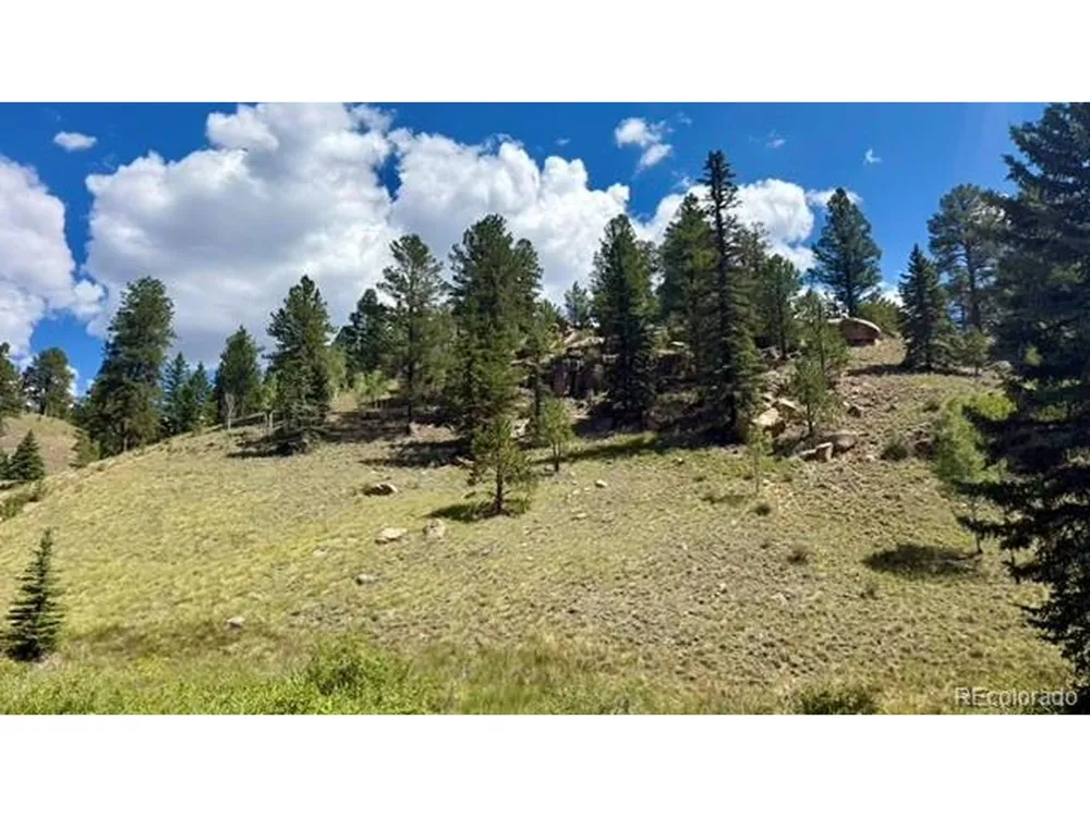 196 Beaver Creek Circle Florissant, CO 80816