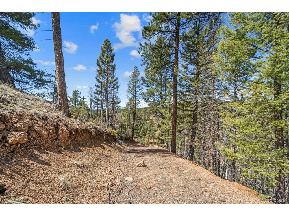 196 Beaver Creek Circle Florissant, CO 80816