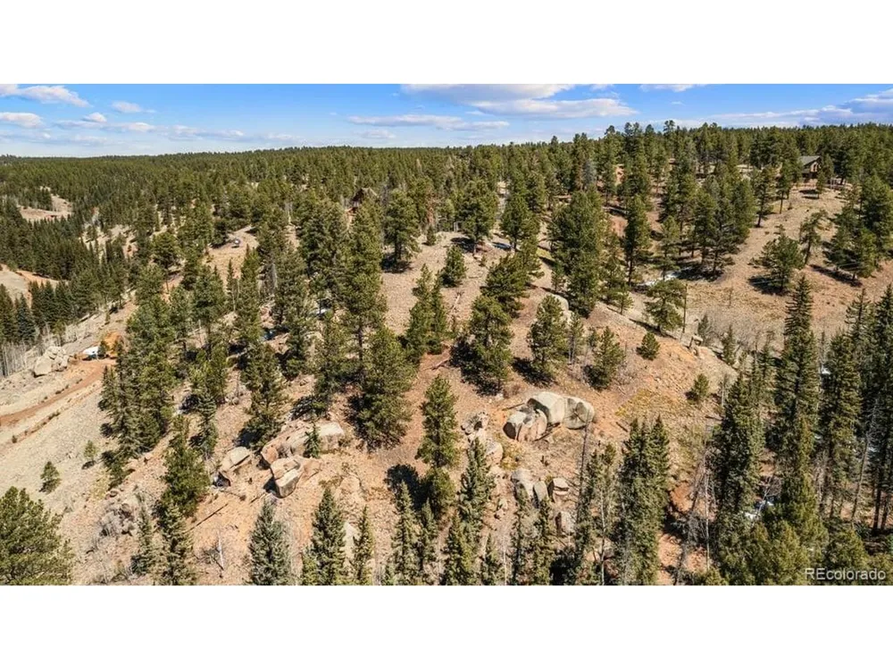 196 Beaver Creek Circle Florissant, CO 80816