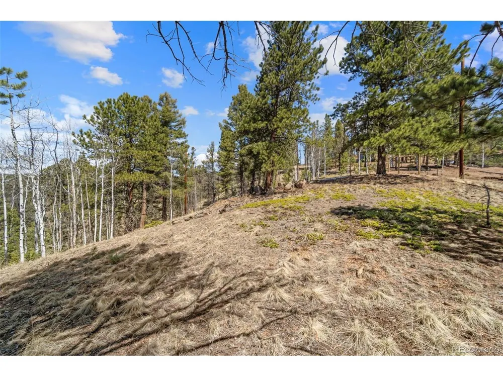 196 Beaver Creek Circle Florissant, CO 80816