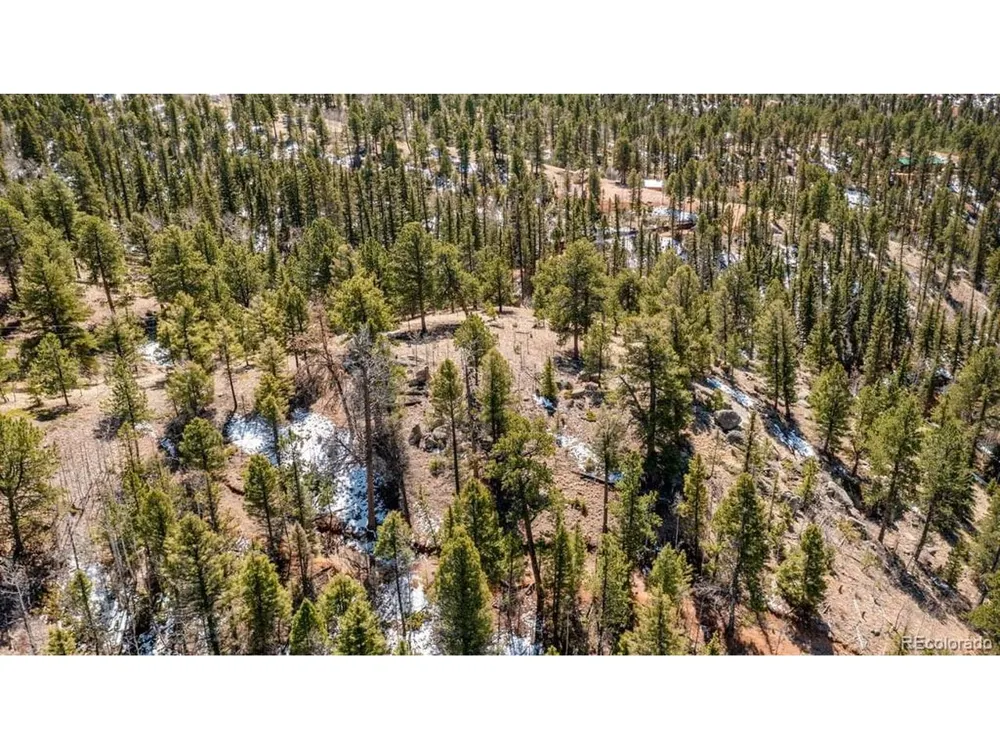 196 Beaver Creek Circle Florissant, CO 80816