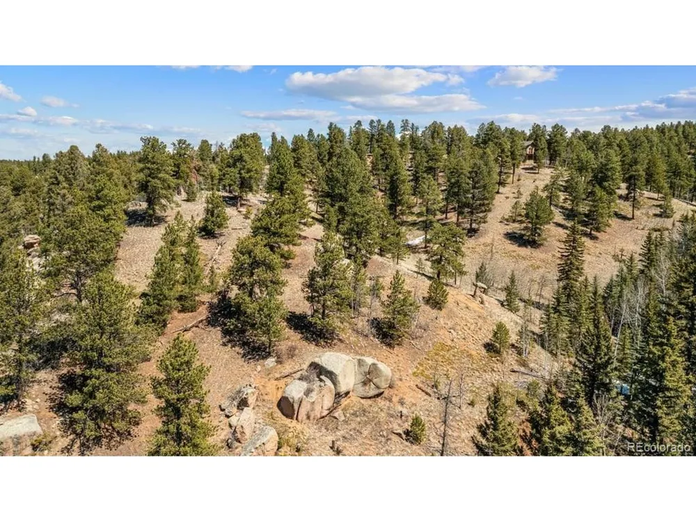 196 Beaver Creek Circle Florissant, CO 80816