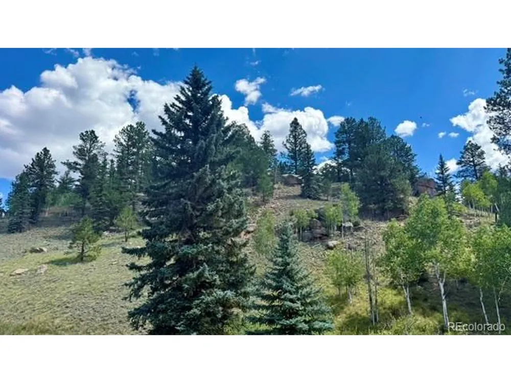 196 Beaver Creek Circle Florissant, CO 80816