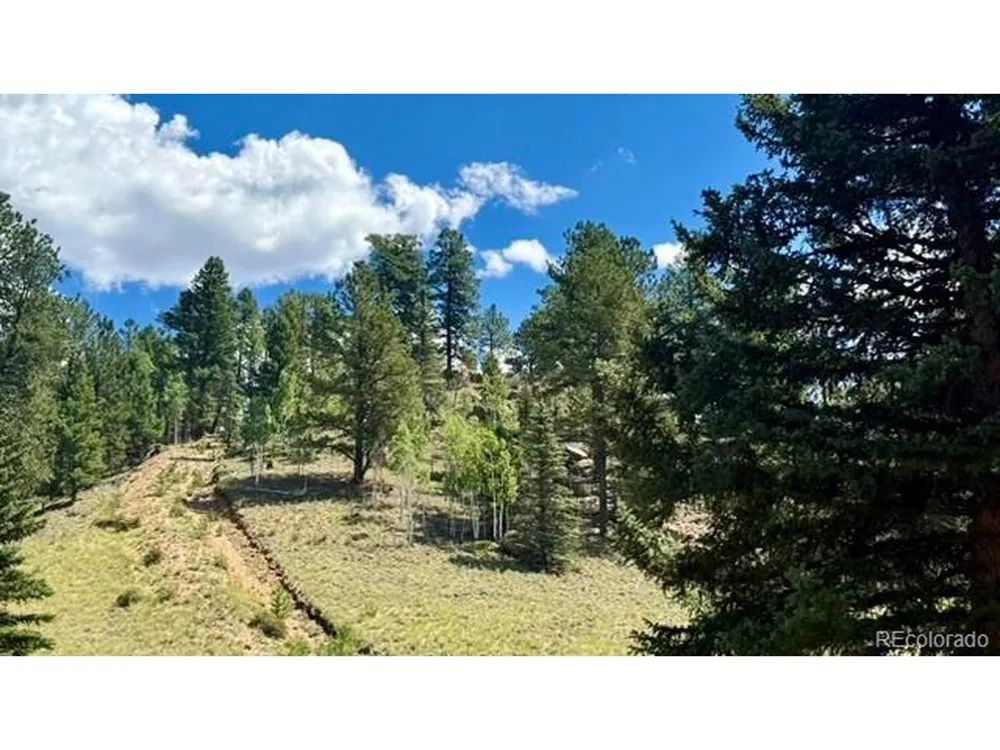 196 Beaver Creek Circle Florissant, CO 80816