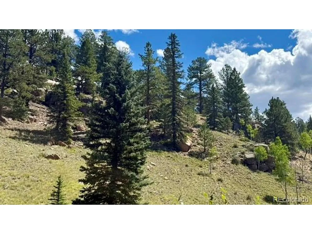 196 Beaver Creek Circle Florissant, CO 80816