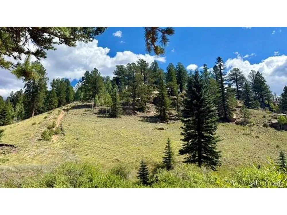 196 Beaver Creek Circle Florissant, CO 80816