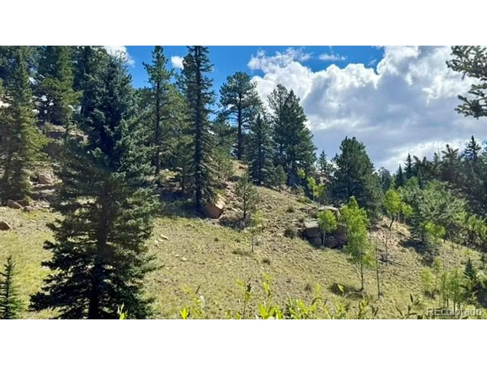 196 Beaver Creek Circle Florissant, CO 80816