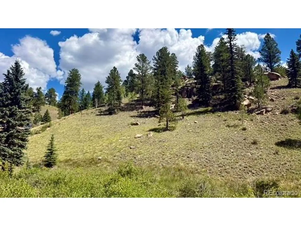 196 Beaver Creek Circle Florissant, CO 80816