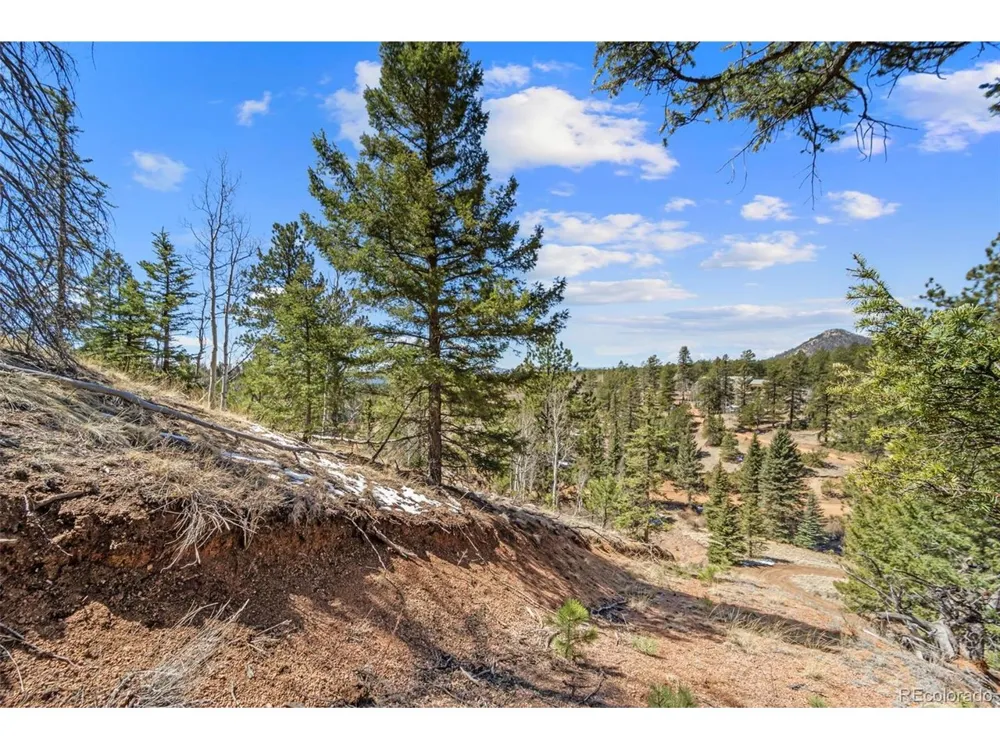 196 Beaver Creek Circle Florissant, CO 80816