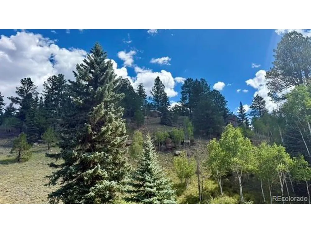 196 Beaver Creek Circle Florissant, CO 80816