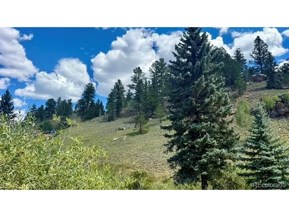 196 Beaver Creek Circle Florissant, CO 80816