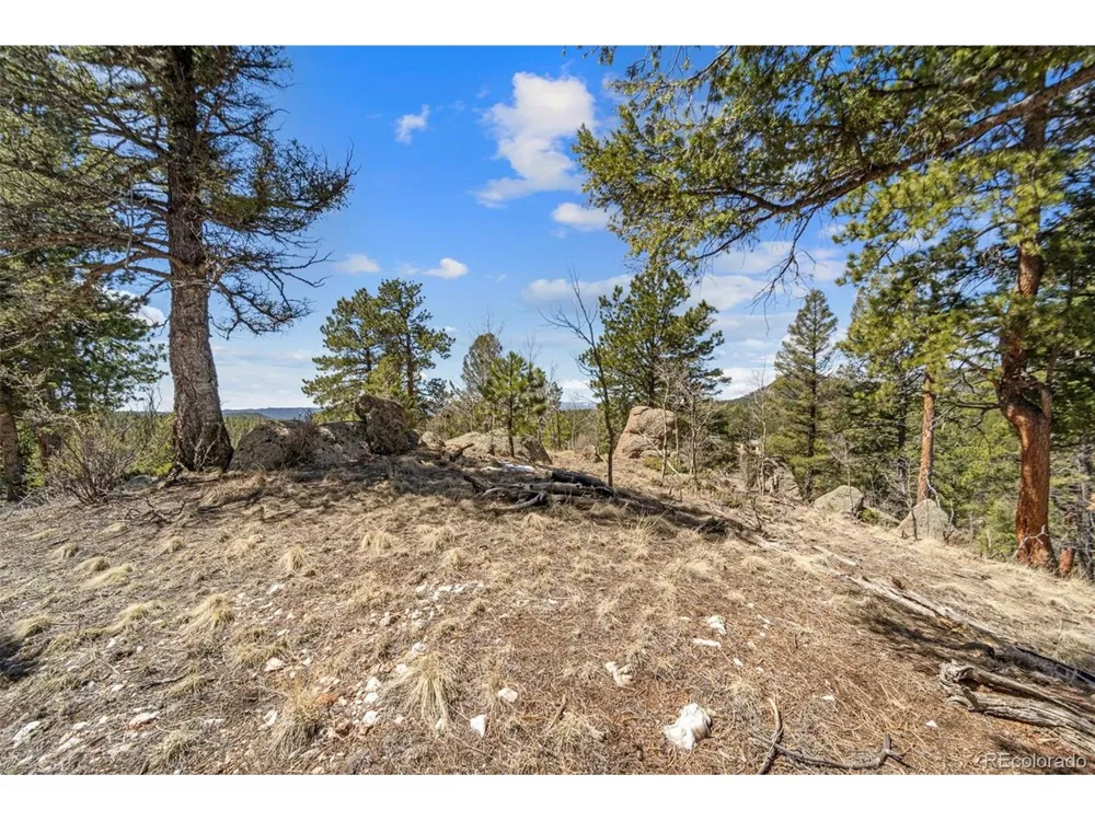 196 Beaver Creek Circle Florissant, CO 80816