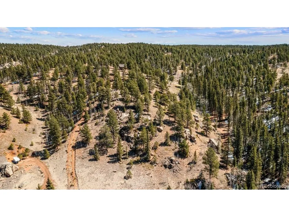 196 Beaver Creek Circle Florissant, CO 80816