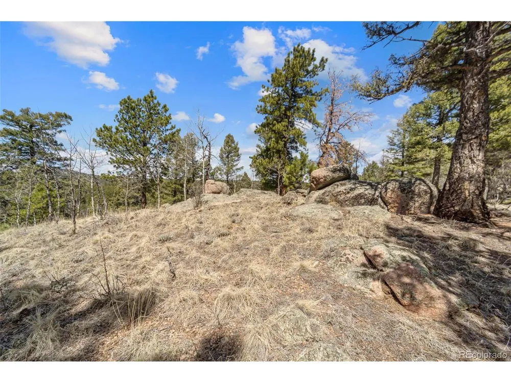 196 Beaver Creek Circle Florissant, CO 80816