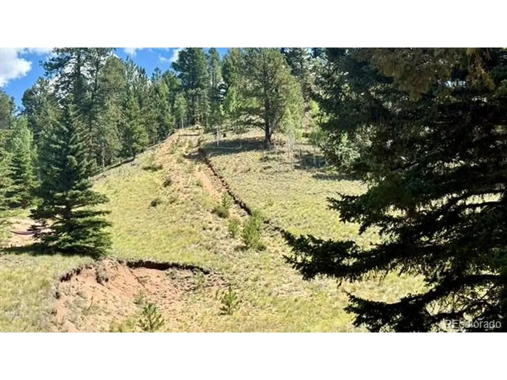 196 Beaver Creek Circle Florissant, CO 80816