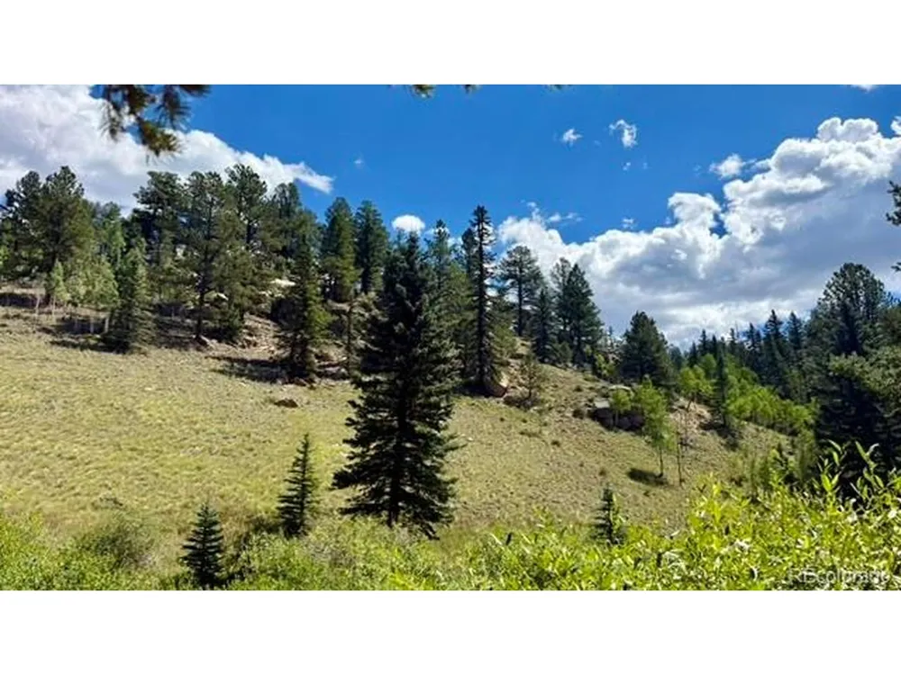 196 Beaver Creek Circle Florissant, CO 80816