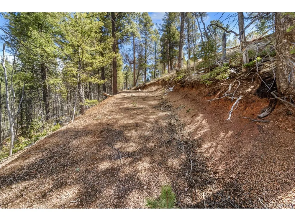 196 Beaver Creek Circle Florissant, CO 80816