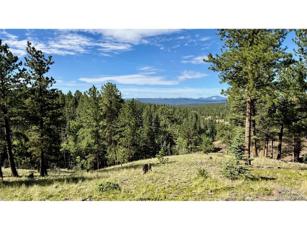 196 Beaver Creek Circle Florissant, CO 80816