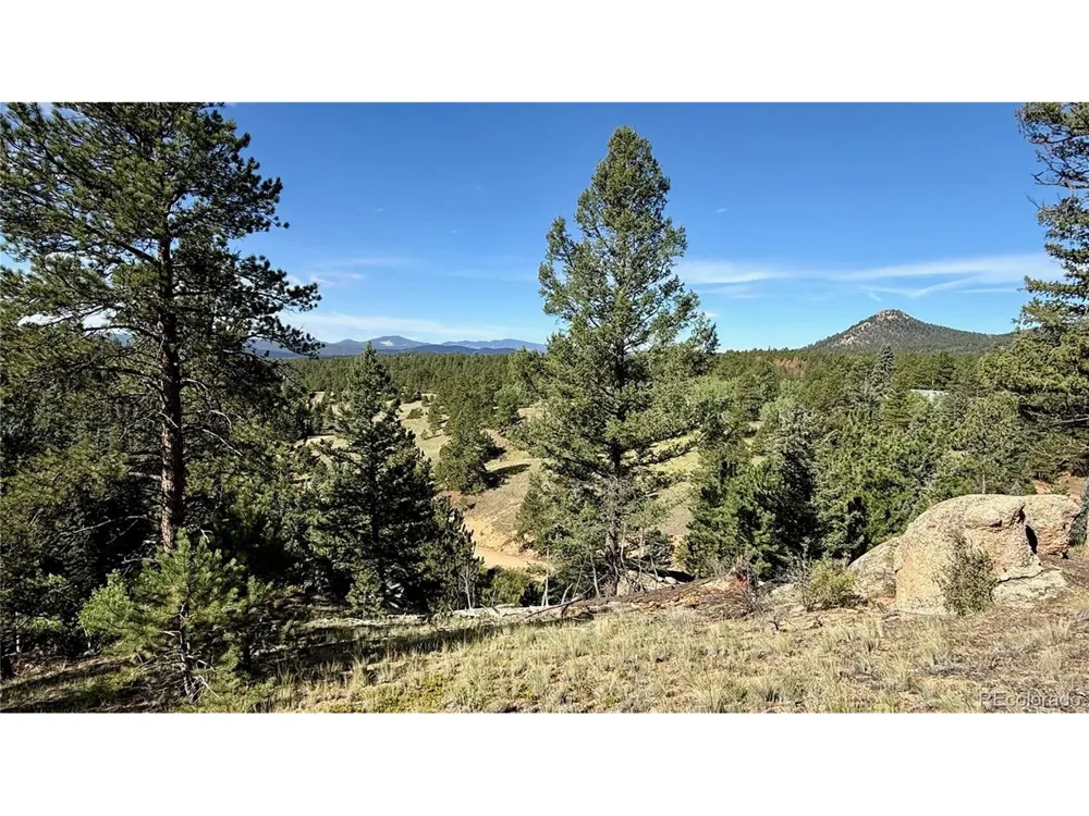 196 Beaver Creek Circle Florissant, CO 80816