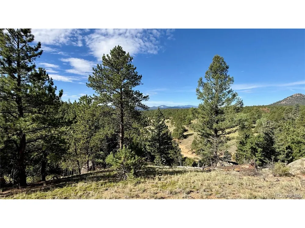 196 Beaver Creek Circle Florissant, CO 80816