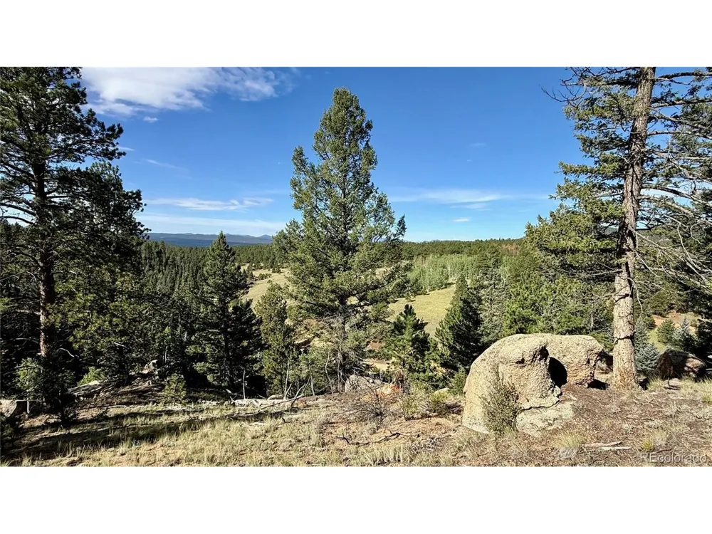 196 Beaver Creek Circle Florissant, CO 80816