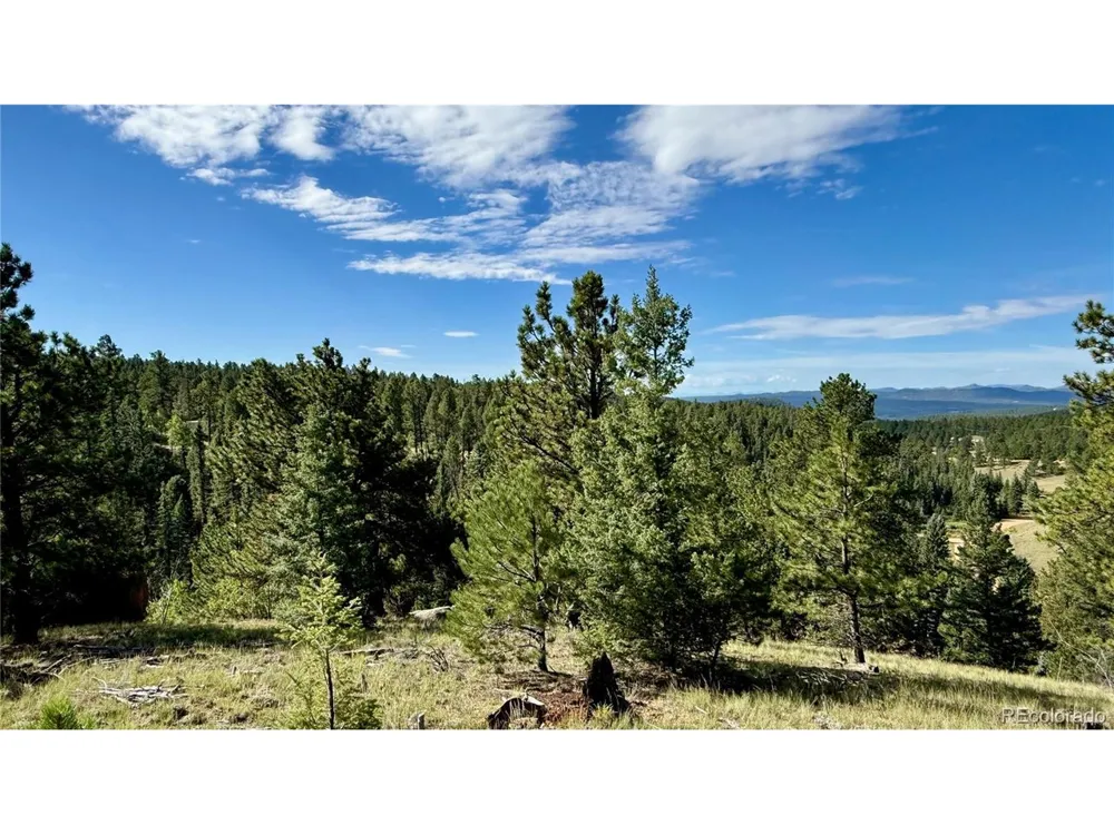 196 Beaver Creek Circle Florissant, CO 80816
