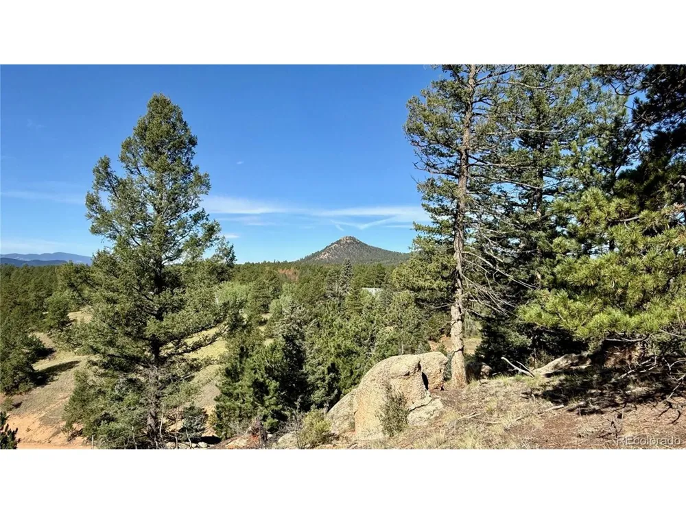 196 Beaver Creek Circle Florissant, CO 80816