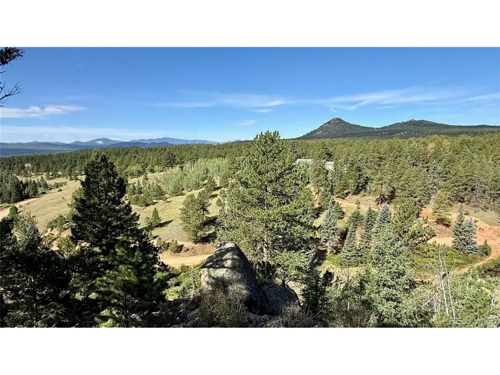 196 Beaver Creek Circle Florissant, CO 80816