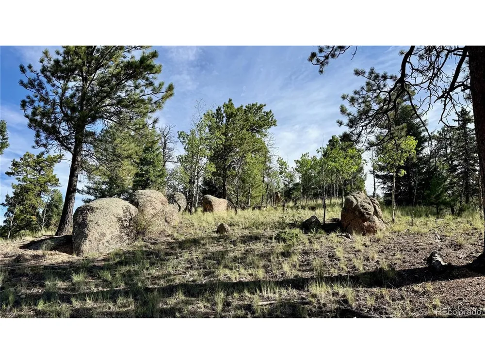196 Beaver Creek Circle Florissant, CO 80816