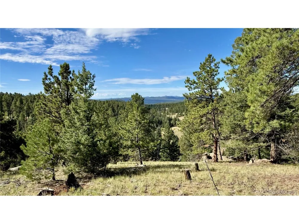 196 Beaver Creek Circle Florissant, CO 80816