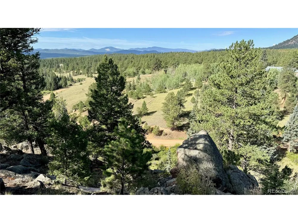 196 Beaver Creek Circle Florissant, CO 80816