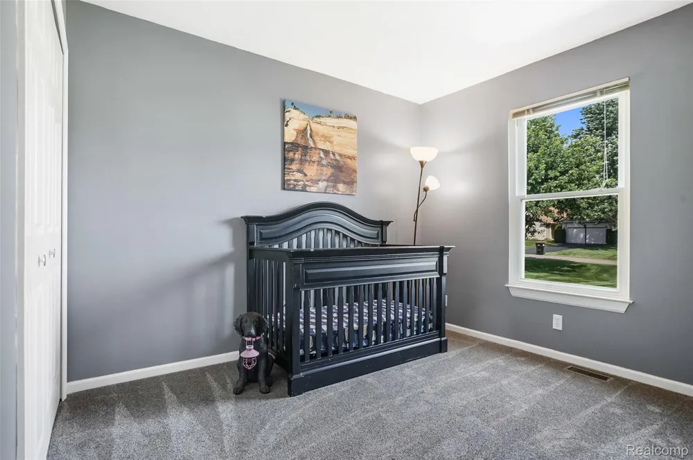 2905 Saddlebrook Court Putnam Township, MI 48169