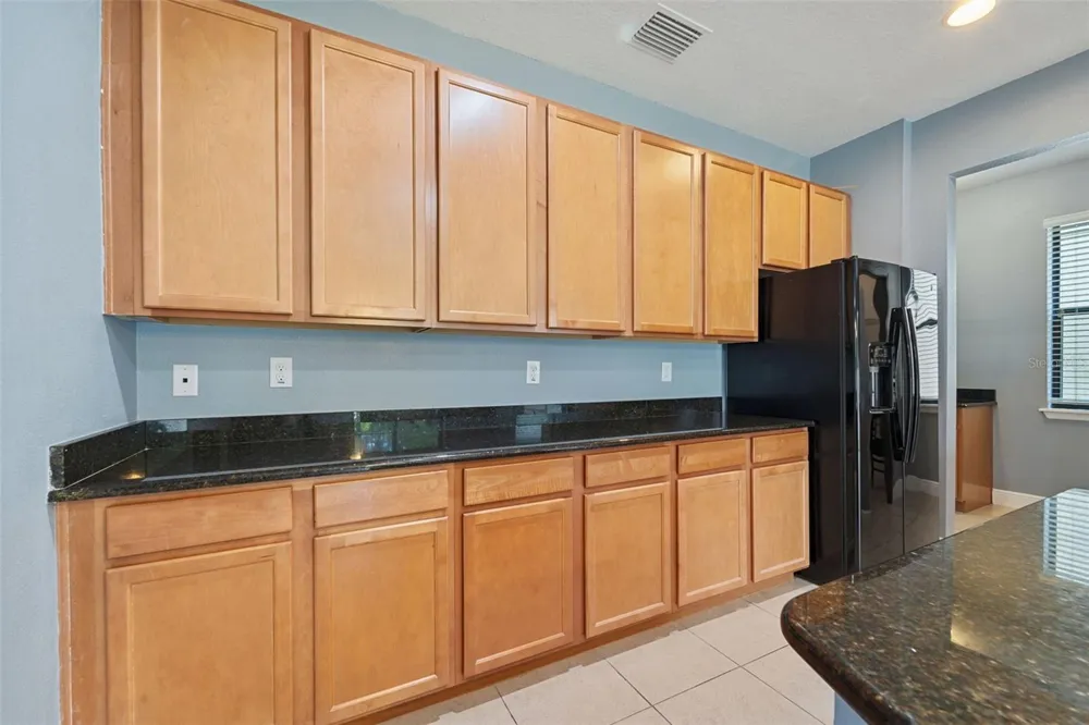 11006 TAHITI ISLE LANE Tampa, FL 33647