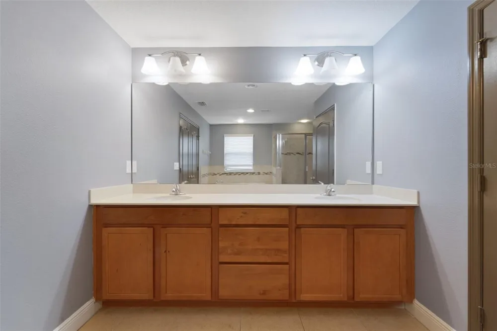 11006 TAHITI ISLE LANE Tampa, FL 33647