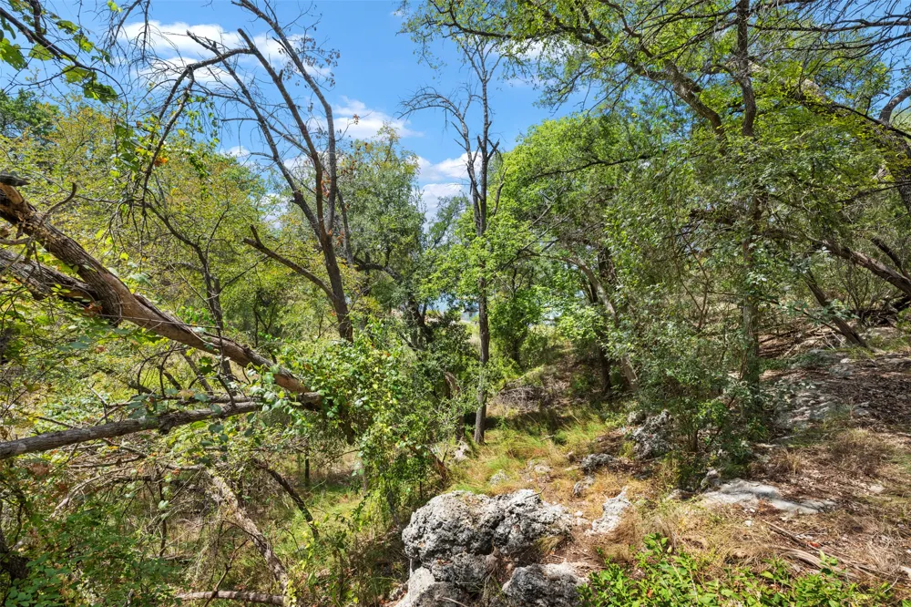 19725 Lakehurst Loop Spicewood, TX 78669