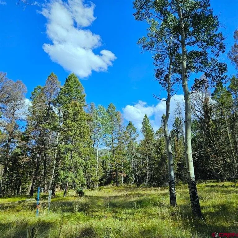 282 Aspen Trail Cimarron, CO 81220