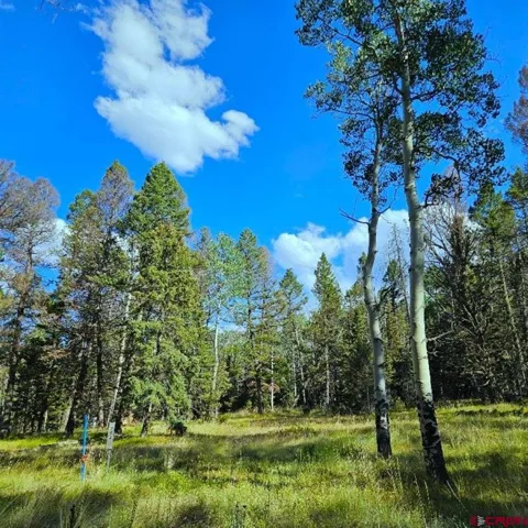 282 Aspen Trail