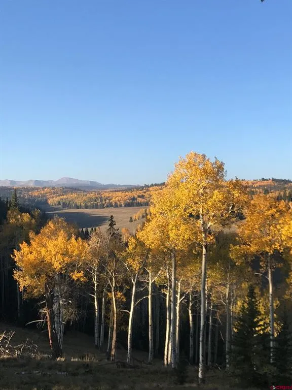 282 Aspen Trail Cimarron, CO 81220